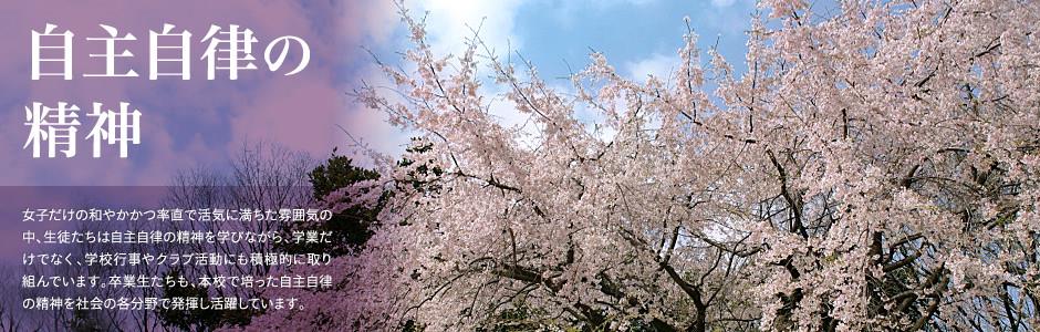 星空传媒在线观看免费登录线路